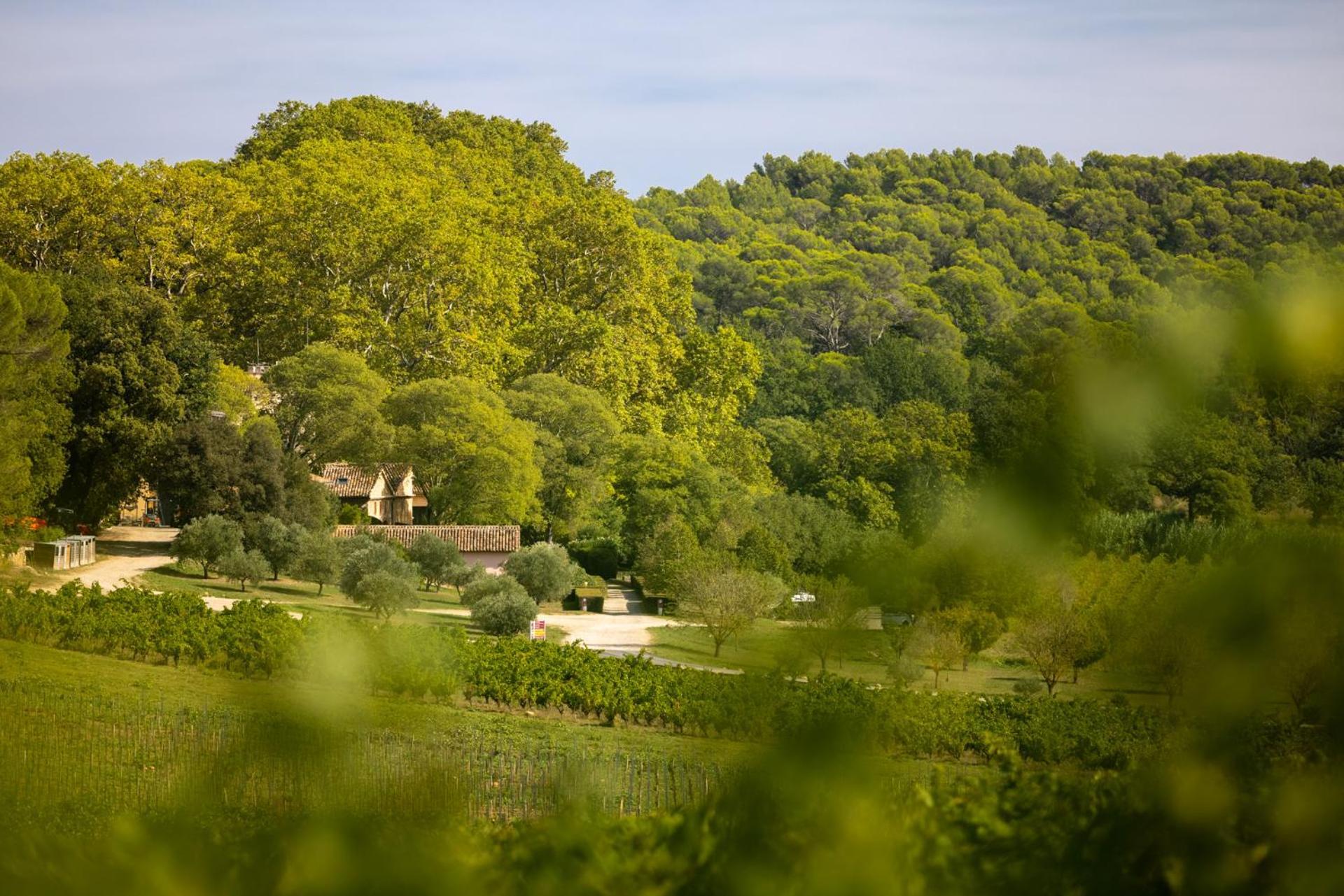 Chateau Mentone Masseboeuf Exteriér fotografie